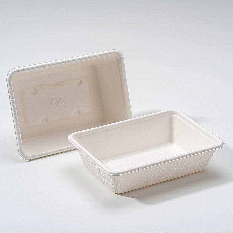 Bosca Cearnóg Bagasse